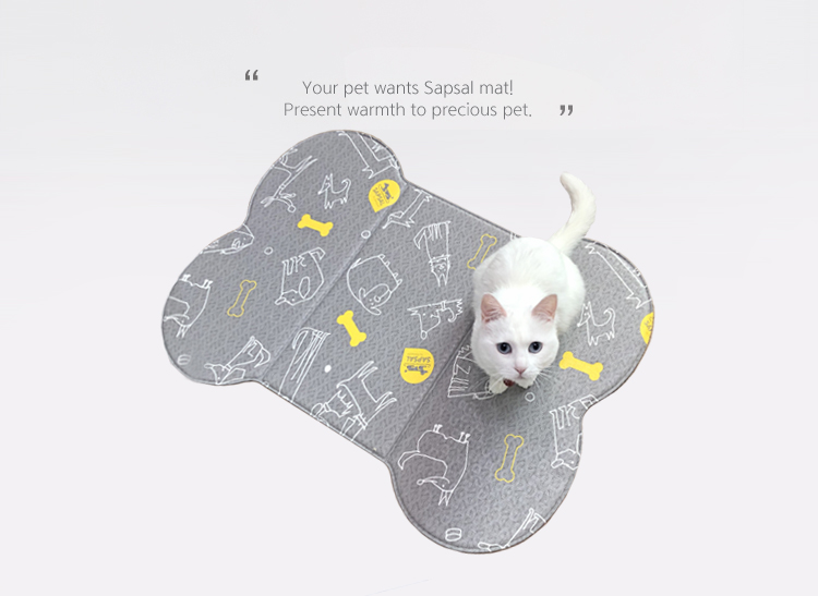 cat product